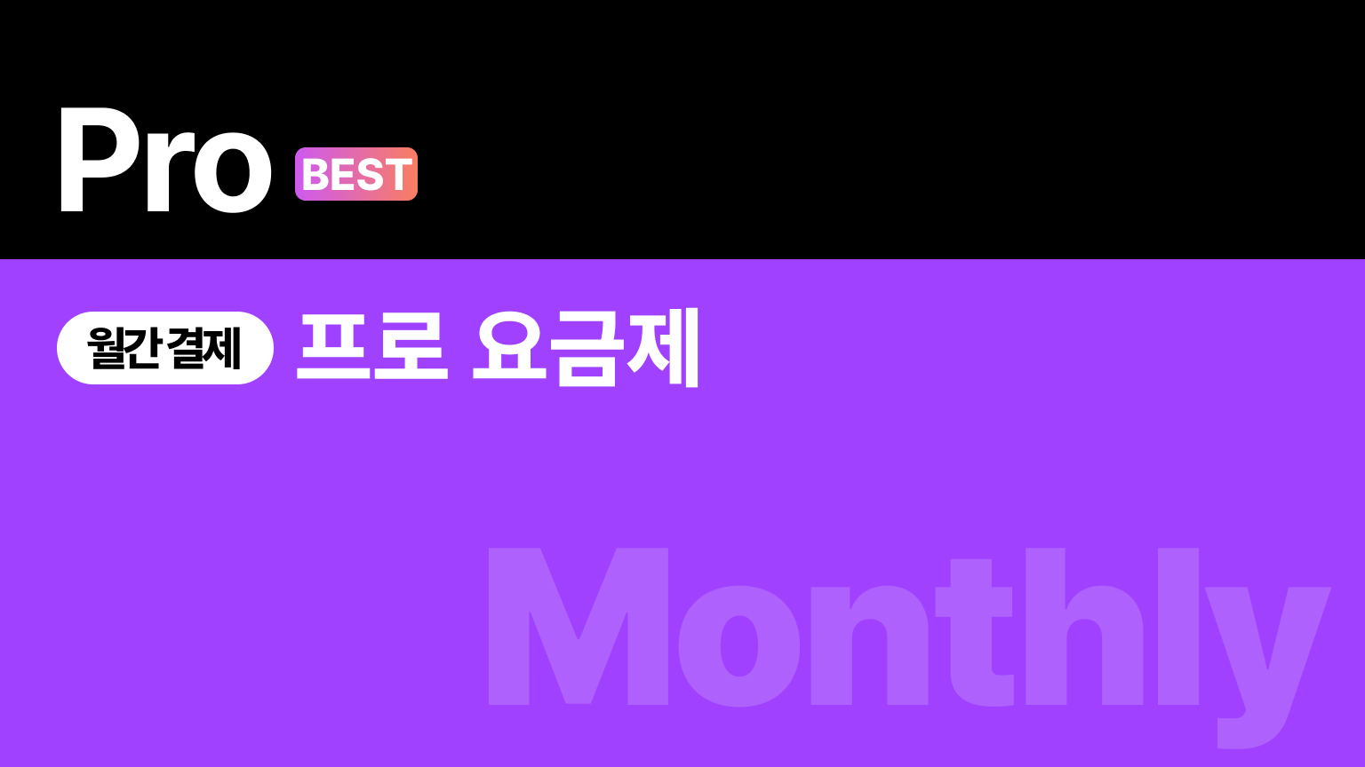 프로(pro) 요금제 | 영상 보안 기능 포함