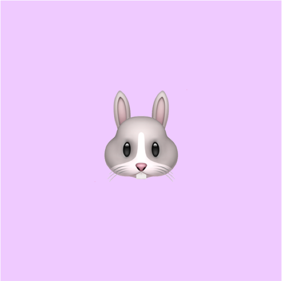 인클래스마스터 선생님의 강의 주제