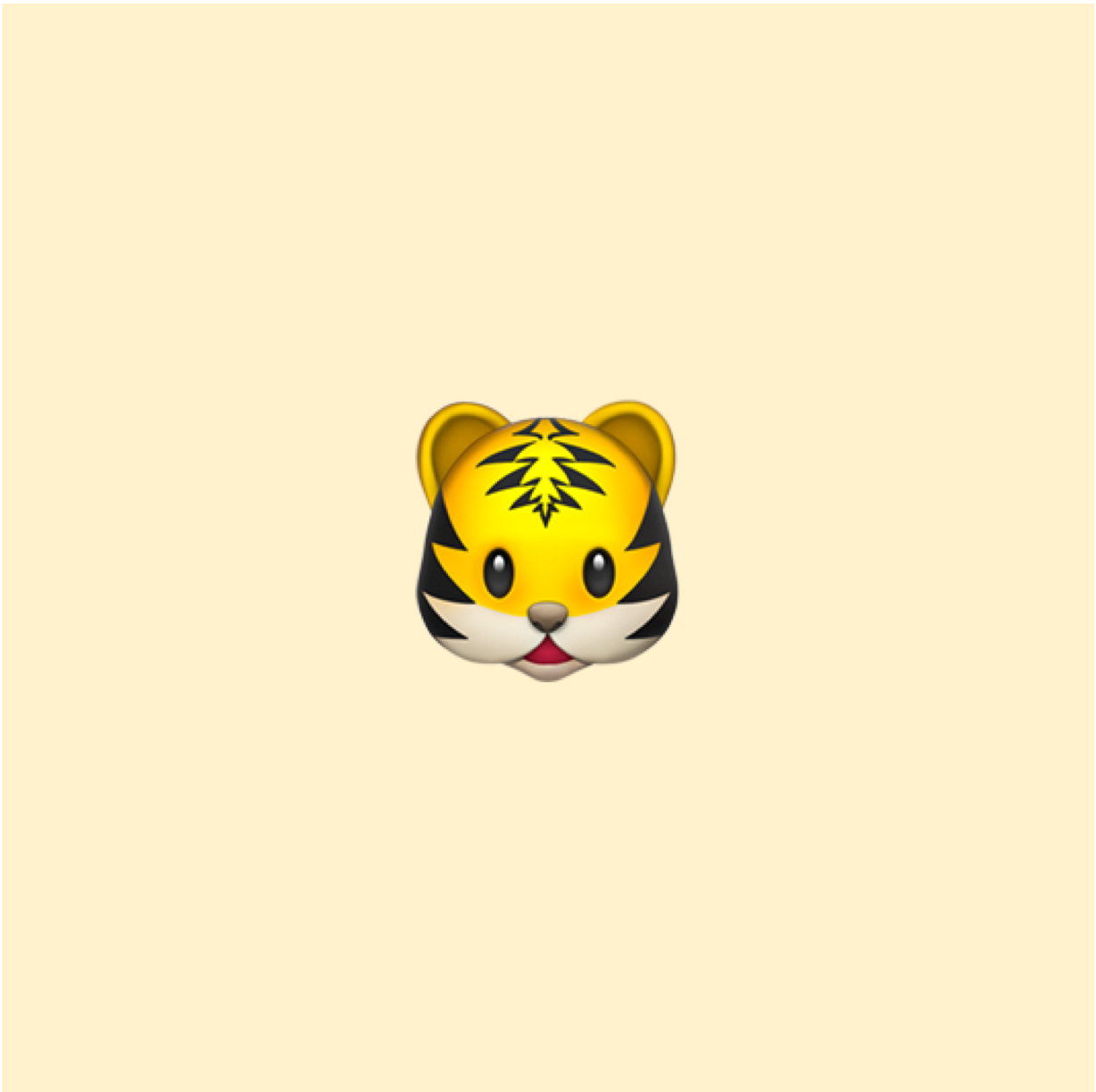 인클래스 호랑이 선생님의 강의 주제